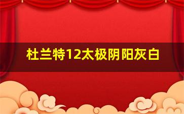 杜兰特12太极阴阳灰白