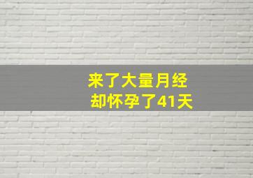 来了大量月经却怀孕了41天