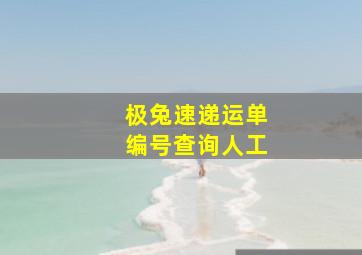 极兔速递运单编号查询人工