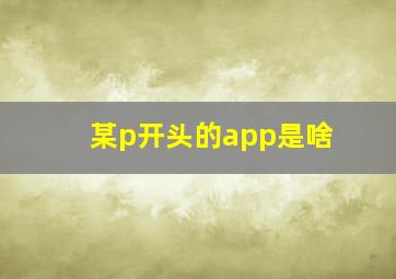 某p开头的app是啥