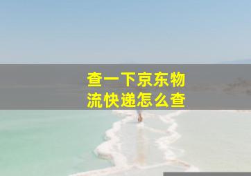 查一下京东物流快递怎么查