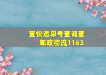 查快递单号查询查邮政物流1163