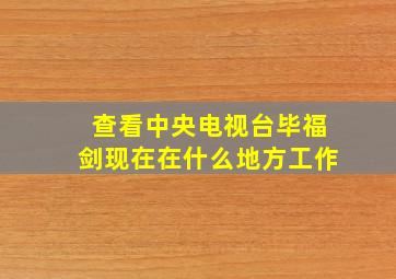 查看中央电视台毕福剑现在在什么地方工作