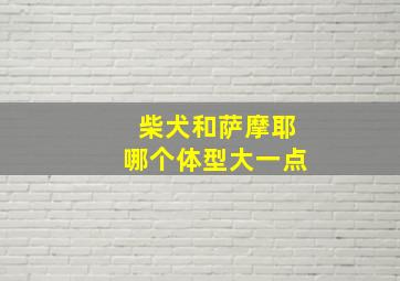 柴犬和萨摩耶哪个体型大一点