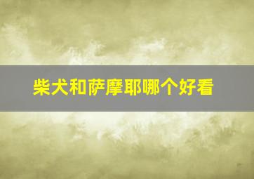 柴犬和萨摩耶哪个好看