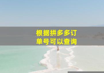 根据拼多多订单号可以查询