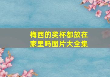 梅西的奖杯都放在家里吗图片大全集