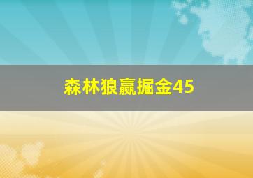 森林狼赢掘金45