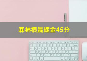 森林狼赢掘金45分