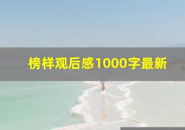 榜样观后感1000字最新