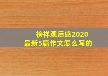 榜样观后感2020最新5篇作文怎么写的