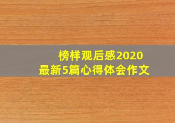 榜样观后感2020最新5篇心得体会作文