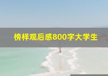 榜样观后感800字大学生