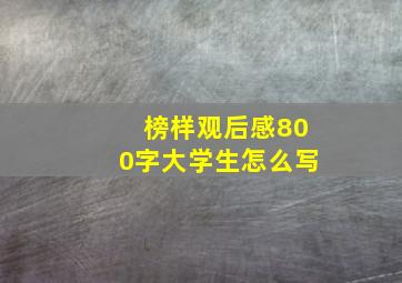 榜样观后感800字大学生怎么写