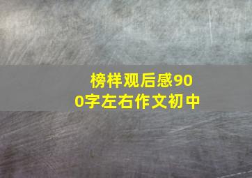 榜样观后感900字左右作文初中