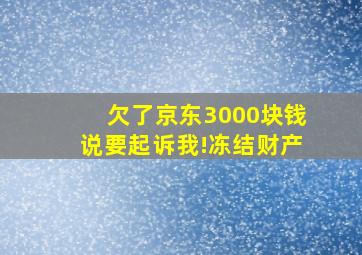 欠了京东3000块钱说要起诉我!冻结财产