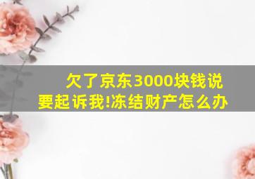 欠了京东3000块钱说要起诉我!冻结财产怎么办