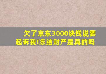 欠了京东3000块钱说要起诉我!冻结财产是真的吗