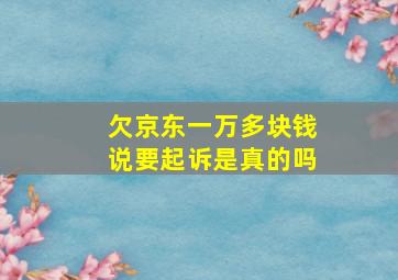 欠京东一万多块钱说要起诉是真的吗