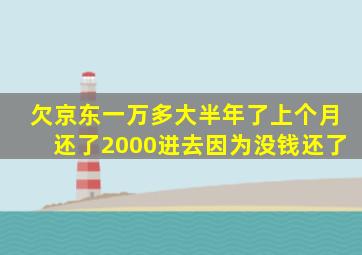 欠京东一万多大半年了上个月还了2000进去因为没钱还了