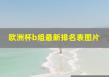 欧洲杯b组最新排名表图片