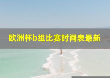 欧洲杯b组比赛时间表最新