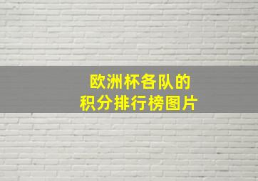 欧洲杯各队的积分排行榜图片