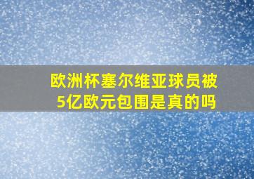 欧洲杯塞尔维亚球员被5亿欧元包围是真的吗