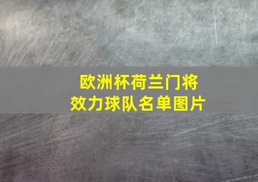 欧洲杯荷兰门将效力球队名单图片