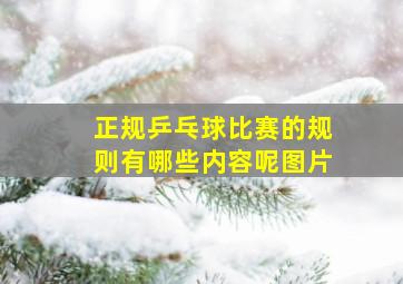 正规乒乓球比赛的规则有哪些内容呢图片