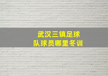 武汉三镇足球队球员哪里冬训