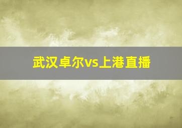 武汉卓尔vs上港直播