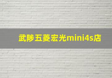 武陟五菱宏光mini4s店