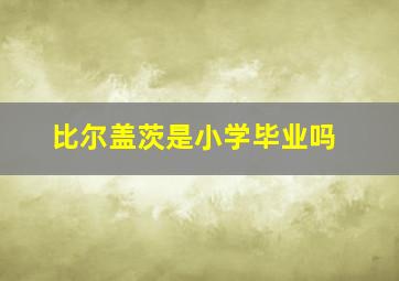 比尔盖茨是小学毕业吗