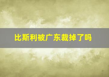 比斯利被广东裁掉了吗