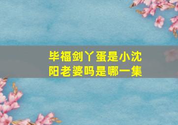 毕福剑丫蛋是小沈阳老婆吗是哪一集