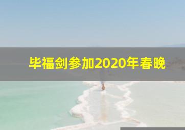 毕福剑参加2020年春晚