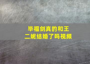 毕福剑真的和王二妮结婚了吗视频