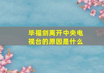 毕福剑离开中央电视台的原因是什么