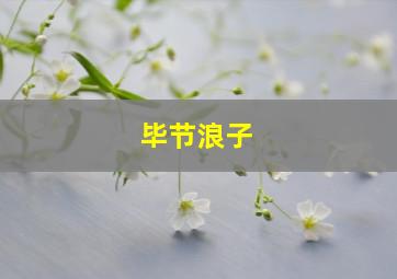 毕节浪子