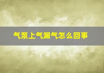 气泵上气漏气怎么回事