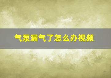 气泵漏气了怎么办视频