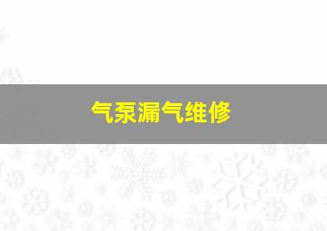 气泵漏气维修