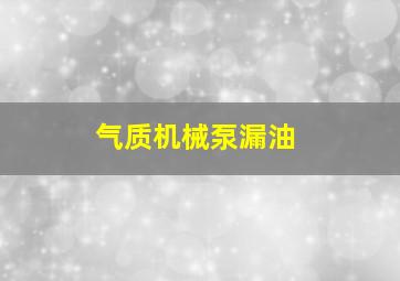 气质机械泵漏油