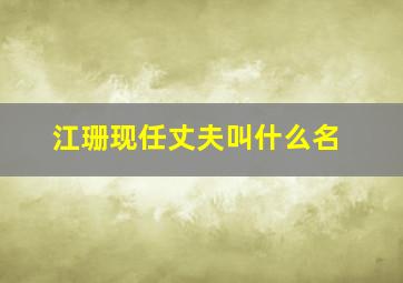 江珊现任丈夫叫什么名