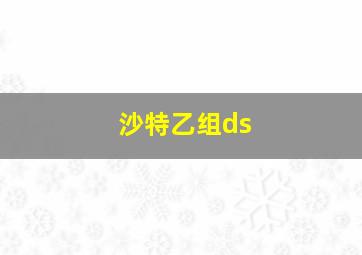 沙特乙组ds