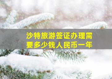 沙特旅游签证办理需要多少钱人民币一年