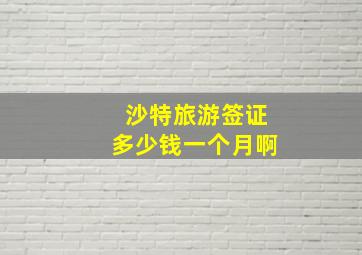 沙特旅游签证多少钱一个月啊