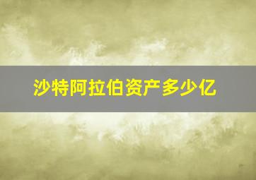 沙特阿拉伯资产多少亿