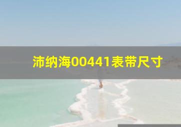 沛纳海00441表带尺寸